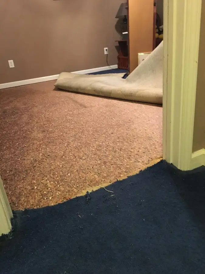 Carpet pad removal revealing water damage during Water Mitigation Services in Prospect Heights