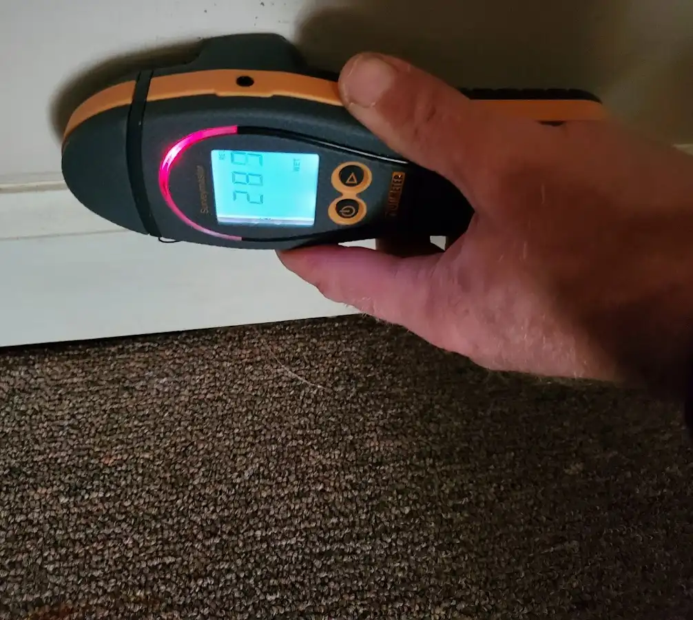 Moisture detection at baseboard during Sewage Cleanup & Sanitation in Prospect Heights